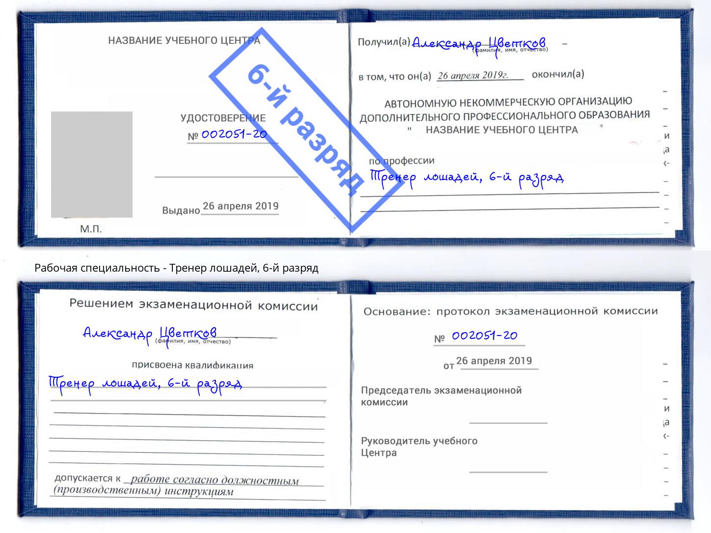 корочка 6-й разряд Тренер лошадей Ефремов