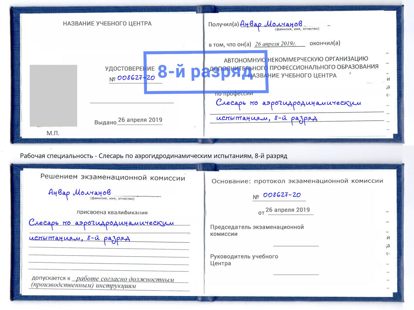 корочка 8-й разряд Слесарь по аэрогидродинамическим испытаниям Ефремов