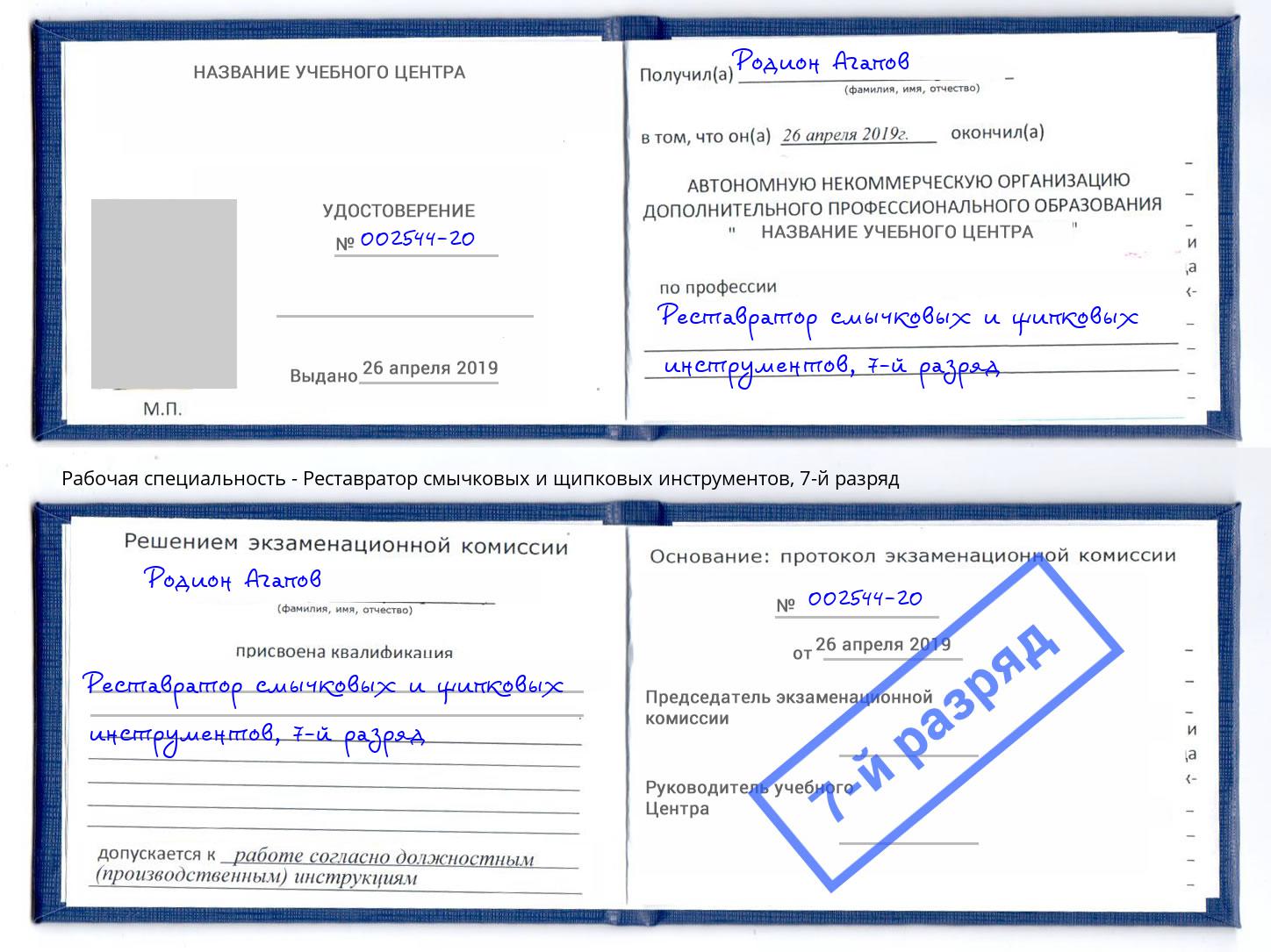 корочка 7-й разряд Реставратор смычковых и щипковых инструментов Ефремов