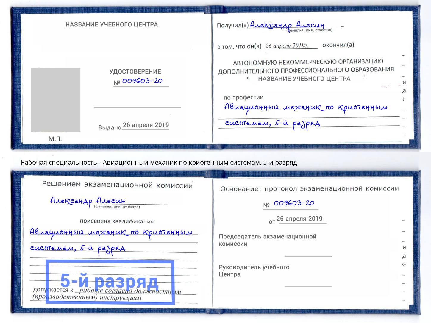 корочка 5-й разряд Авиационный механик по криогенным системам Ефремов